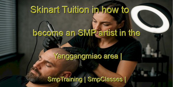 Skinart Tuition in how to become an SMP artist in the Yanggangmiao area | SmpTraining | SmpClasses | SkinartTraining-China